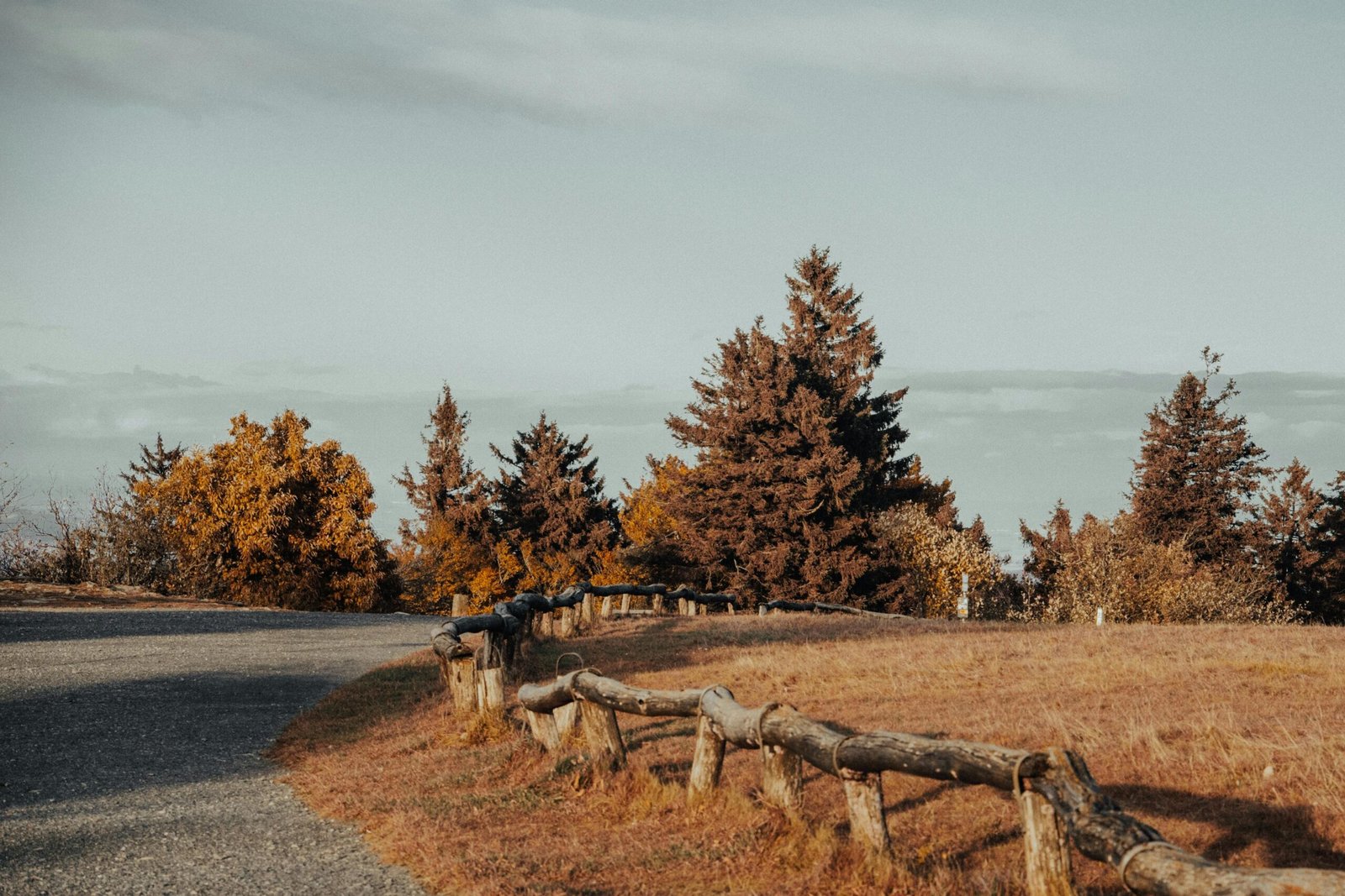 A peaceful autumn scene featuring a rustic fence, trees, and an open countryside.