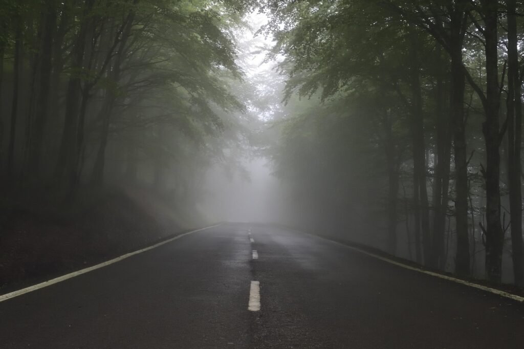 future, fear, uncertainty, path, highway, road, way, forest, trees, light, angst, zukunft, unsicherheit, wald, nature, weg, straße, neblig, fog